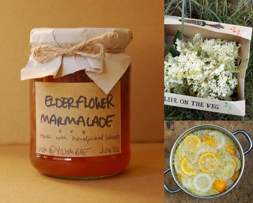 Zero Waste Elderflower Marmalade